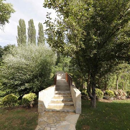 Brvnare Ala Vrdnik Villa Exterior photo